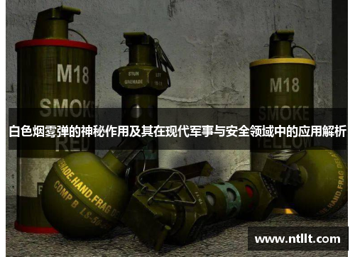 白色烟雾弹的神秘作用及其在现代军事与安全领域中的应用解析